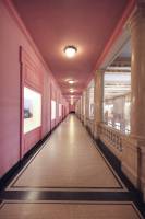 Damien LEMAIRE - DAMIEN LEMAIRE