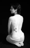 Véronique LARRUE - LARRUE VERONIQUE
