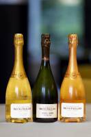 Julien SESIA - Julien-Sésia-Photographie©